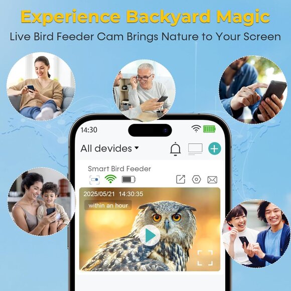 Smart Bird Feeder w Camera AI Bird Identification - Picture 4 of 6